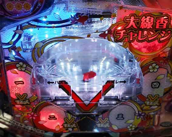 大線香花火　V入賞