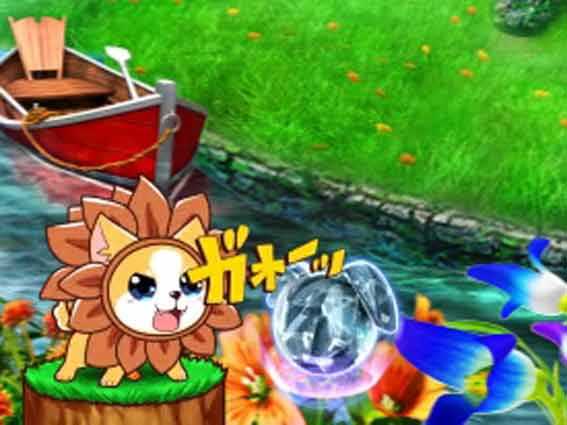 わんにゃん  チワワ常駐予告