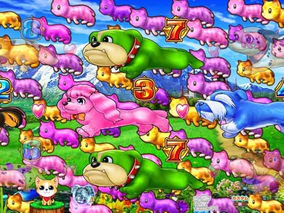 わんにゃん 猫群予告