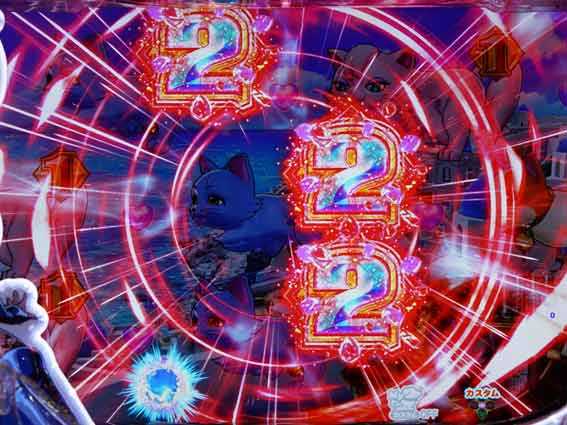 わんにゃん チャンス目