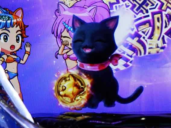 わんにゃん  黒猫保留変化予告