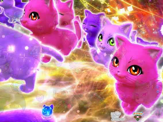 わんにゃん 猫群