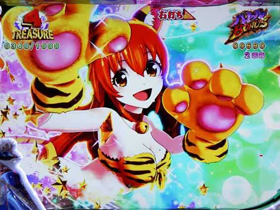 わんにゃん 水着