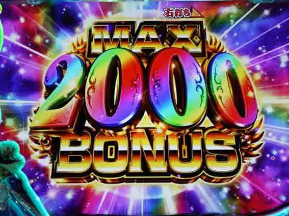 わんにゃん  MAX2000ボーナス