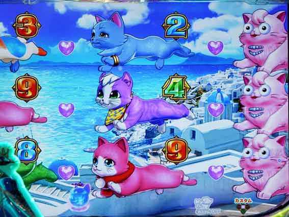 わんにゃん 枠外