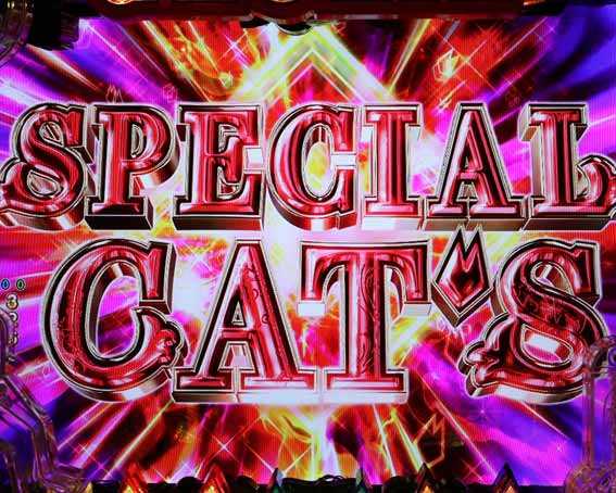 キャッツアイ 強発展