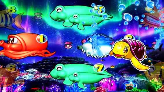 e新海物語 カメステップアップ予告