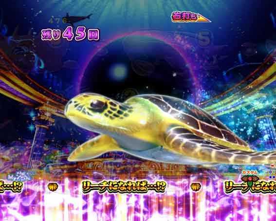 大海5ブラック ブラックパールゾーン