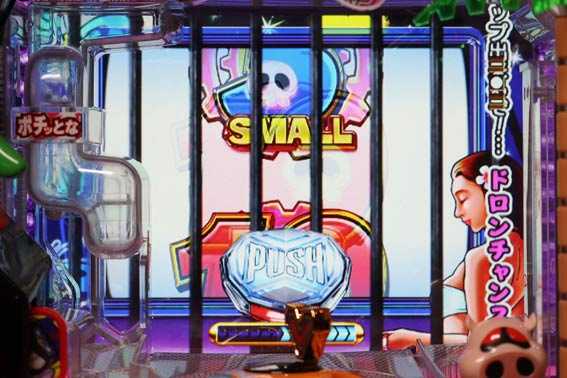 おだてブタ 南国育ち