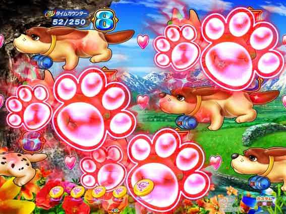 わんわんパラダイス セレブレーション チャンス目予告