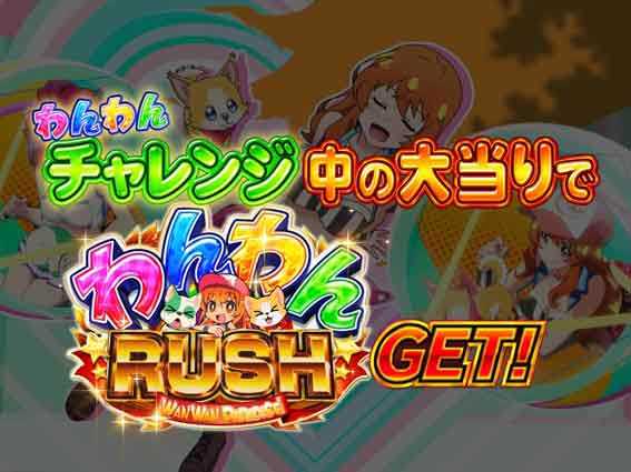 わんわんパラダイス セレブレーション わんわんチャレンジ