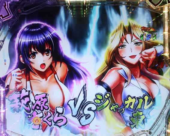 世界でいちばん強くなりたい2 ラストGAME