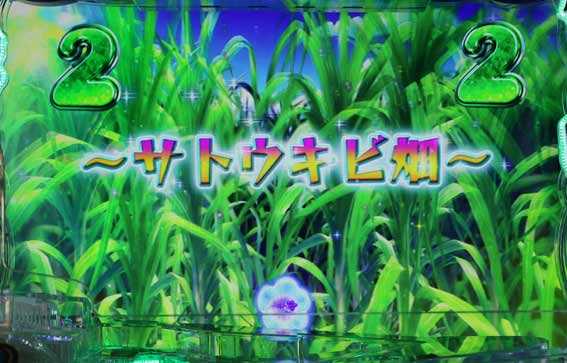 P沖ドキ ロングSPリーチ