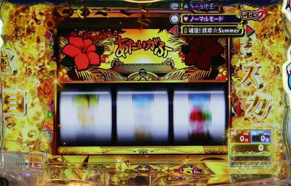 P沖ドキ ハイビスカス