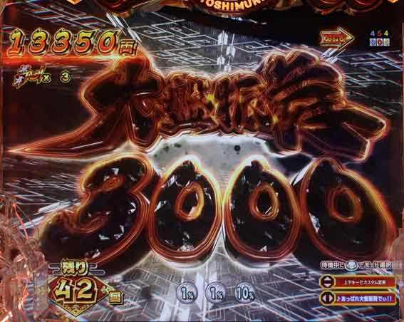 e吉宗　大盤振舞3000