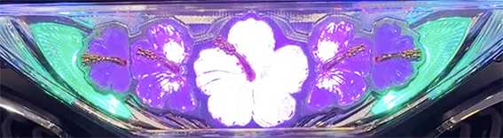 キンハナのトップランプ