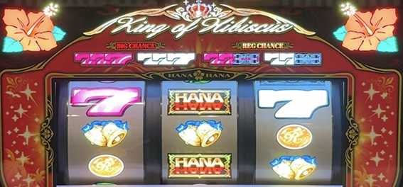 キンハナのハイビスカスランプ点灯