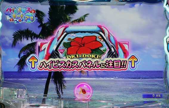 ハイビスカスモード