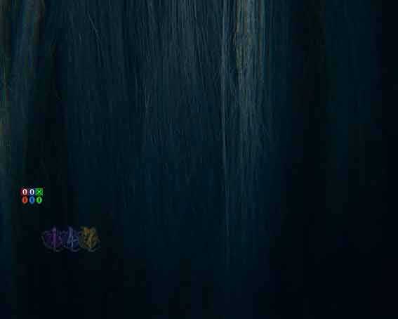 リング最恐領域　入賞時髪ワッサー