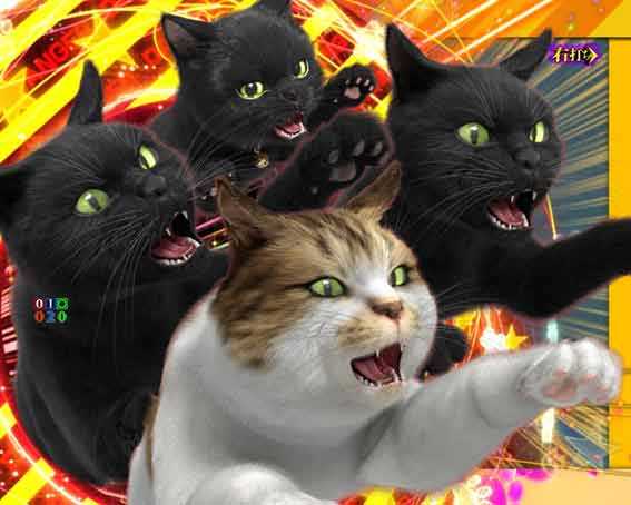 リング最恐領域　にゃんこカットイン予告