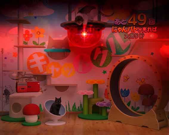 キャットクルモード