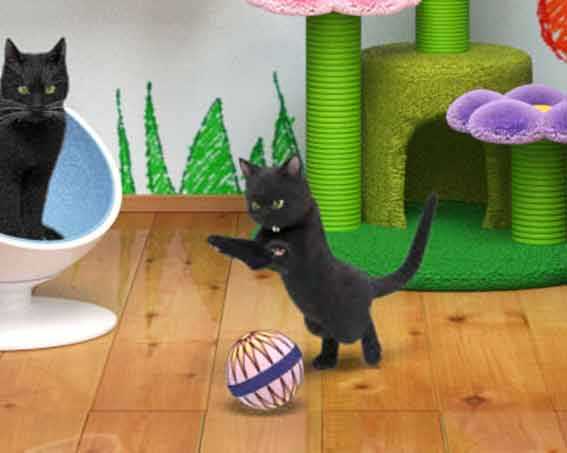 リング最恐領域　仔猫予告