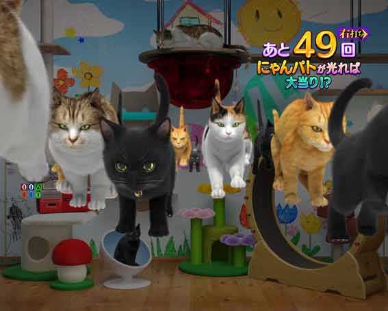 リング最恐領域　猫群予告