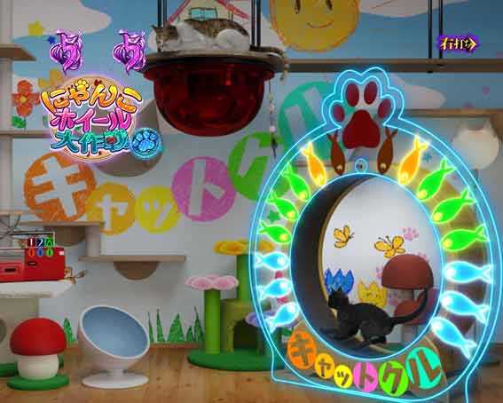 リング最恐領域　にゃんこホイール大作戦