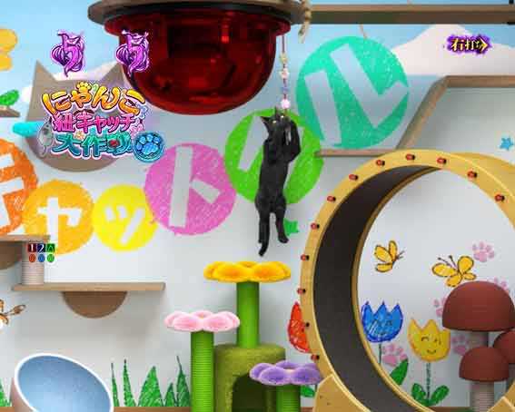 リング最恐領域　にゃんこ紐キャッチ大作戦