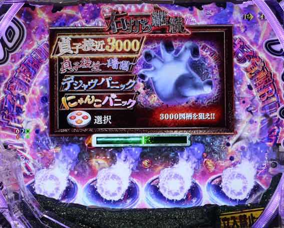 リング最恐領域　にゃんこパニック