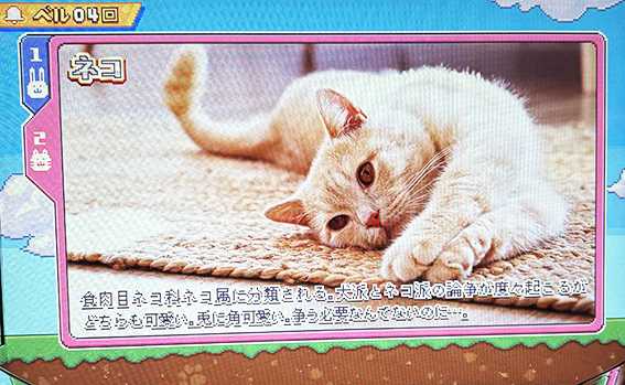 REG中の実写キャラ