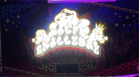 ガルフィーのガルフィーチャレンジ