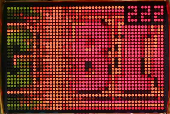 シャカRUSH Z Jr 昇格